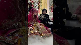 Ishaan bhai or bhabhi ki grand entry ishaanali  wedding shortvideo [upl. by Yoo]