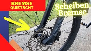 Scheibenbremsen Fahrrad quietschen  Alleine reparieren [upl. by Allissa251]