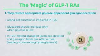 Mechanism of Action for GLP 1 RAs quotThe Howquot [upl. by Ab56]