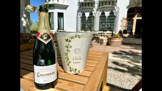 Codorniu Winery Cava in Barcelona Spain [upl. by Aivatco]