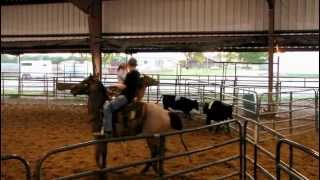 San Olena Quixote  41812 sorting practice 1  Valley View Ranch [upl. by Iviv]