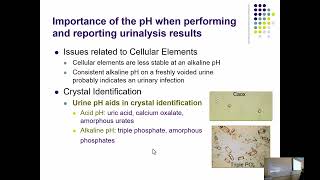 UA Lecture 4 pH and Protein [upl. by Hnad]