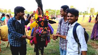 pongal celebrations in avanthi college 2022 tagarapuvalasa [upl. by Ennahgiel]