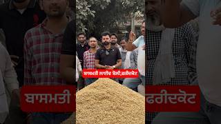 faridkot basmatirice basmati Boli mandi mandibhavupdate mandibhavtoday mandibhav [upl. by Gottuard]