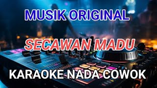 secawan madu karaoke nada cowok [upl. by Ennove388]