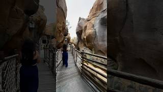 Explore EPCOT with Me Enjoy the Most Beautiful and Relaxing Landscapes [upl. by Ibrab]