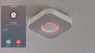 Testing the Nest Protect Smoke Alarm with Fire [upl. by Hines]