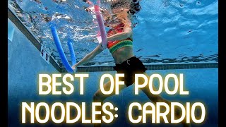 POOL NOODLE CARDIO EXERCISES WITH A NOODLE [upl. by Neile]