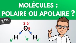 Déterminer la polarité dune molécule  Première  PhysiqueChimie [upl. by Meter797]