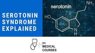 Serotonin syndrome explained  PLAB1 AKT PLAB2 [upl. by Hcirdla259]