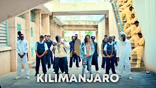 Dogo Janja amp Loui  Kilimanjaro Official Music Video [upl. by Cy667]