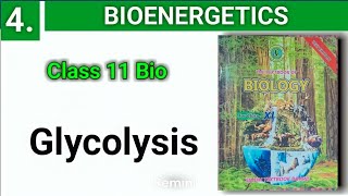 Glycolysis  Bioenergetics  class 11 bio new book [upl. by Willy]