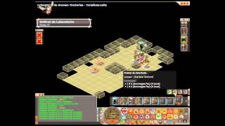 Tutoriel Dofus Laboratoire de Brumen Tinctorias [upl. by Harmaning225]