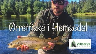 Ørretfiske i Hemsedal  Fluefiske i Hemsila [upl. by Mauro]