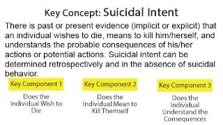 Self Directed Violence Classification System Training [upl. by Coral]