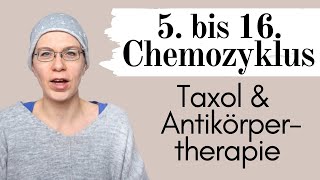 5 bis 16 Chemozyklus Taxol und Antikörpertherapie  Brustkrebs her2 positiv  Wyldest Life [upl. by Hairem]