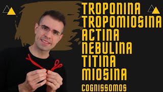 🙋‍♂️✊Actina Miosina Tropomiosina Troponina Titina [upl. by Bobbi613]