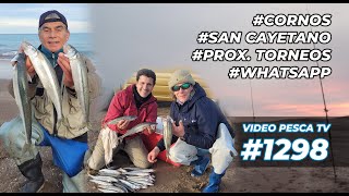 Pesca de Cornos en San Cayetano Imagenes de pescadores Torneo en Pinamar 1298 [upl. by Tillman403]