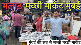 मलाड मच्छी मार्केट मुंबई 2024 Malad Fish Market In Mumbai  Wholesale Fish market [upl. by Suoilenroc]