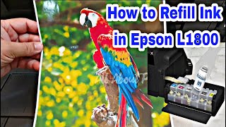 Epson L1800 how to Refill ink and demo printout [upl. by Price]