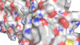 allosteric QM [upl. by Aslin]