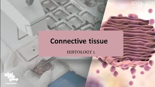 CONNECTIVE TISSUE  Histology 1  Lec 4 [upl. by Eirac]