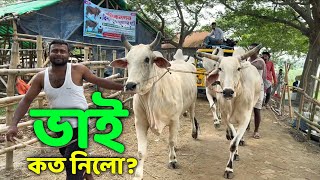 Bhai Koto Nilo Paragram Hozrotpur Gorur Haat 2024  Part 10  Qurbani Cow Price in Bangladesh [upl. by Janeta]