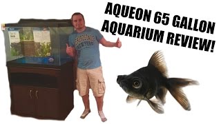 AQUEON 65 GALLON AQUARIUM REVIEW [upl. by Richma587]