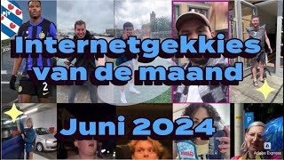 De Internetgekkies van de maand Juni 2024 [upl. by Ailadi]