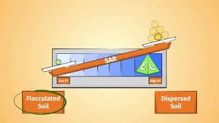 What is the Sodium Adsorption Ratio SAR [upl. by Vachil265]