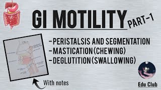 GI Motility Part  1  Chewing Reflex  Deglutition  Gastrointestinal Physiology [upl. by Tneciv]