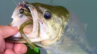 Jerkbaits to Finesse Fishing  Unlocking the Bass Pattern at Loch Raven Reservoir [upl. by Chloette194]