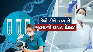 DNA એટલે શું  કેવી રીતે થાય છે મૃતકનો DNA ટેસ્ટ [upl. by Mw]