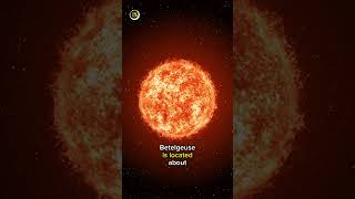 Betelgeuse Supernova explosion of Betelgeuse [upl. by Ewell223]