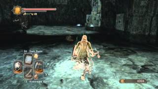 DARK SOULS 2  Doors of Pharros Gray Spirit Explanation [upl. by Roxi]