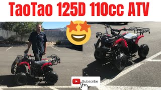 TaoTao 125D 110cc Kids ATV Review In BlackRed [upl. by Garris610]