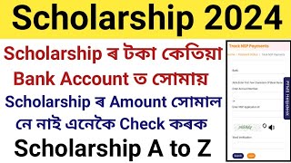 When Will Scholarship Amount Credited to Our Bank Account  How to Check Scholarship Payment Status [upl. by Immas]