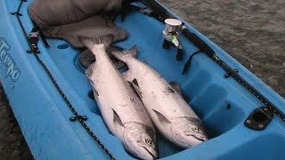 Chinook Salmon fishing in New Zealand [upl. by Hulbig]