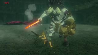 Zelda Breath of the Wild  Silver Lynel Domination NO DAMAGE [upl. by Poock]