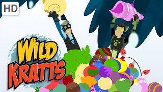 Wild Kratts  Best Season 4 Moments Part 26  Kids Videos [upl. by Aicssej]