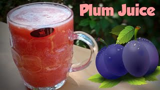 Delicious Plum Fruit Juice How to Make Plum Juice [upl. by Fanchie]