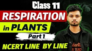 Respiration in Plants Part 1  Class 11 Biology  NCERT Line By Line [upl. by Garrot]