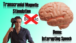 Disrupting Speech with Transcranial Magnetic Stimulation TMS [upl. by Eniamret133]