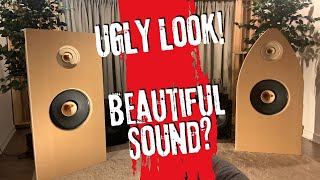 🛠️ DIY Open Baffle Speakers PART 1 Liisong full range drivers [upl. by Monarski]