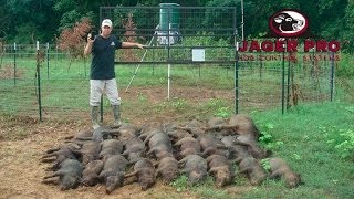 Wild Hog Trapping  17 MINE™ Trapping System before June Planting  JAGER PRO™ [upl. by Flemings]