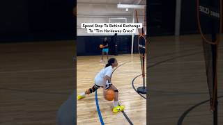 Speed Stop To Behind The Back Exchange To “Tim Hardaway Crossover” basketball hooping hoops [upl. by Rolland729]