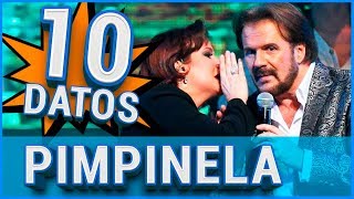 10 Curiosidades sobre PIMPINELA 😱 [upl. by Ariahay]