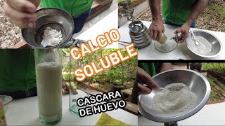 CALCIO SOLUBLE a partir de la cáscara de huevo TUTORIAL [upl. by Davita822]