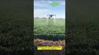 Effective spraying with joyance drone Wholesale UAV 30L Plant protection Agriculture drone [upl. by Bakemeier]