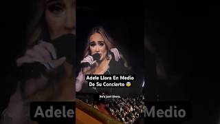 Fan Hace Adele LLORAR En Medio Del Concierto… [upl. by Press]